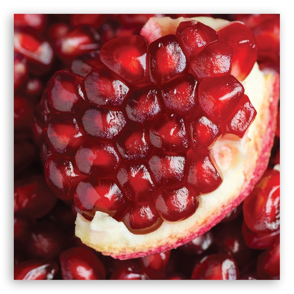 Emaga Obraz na płótnie, Granat makro - 50x50